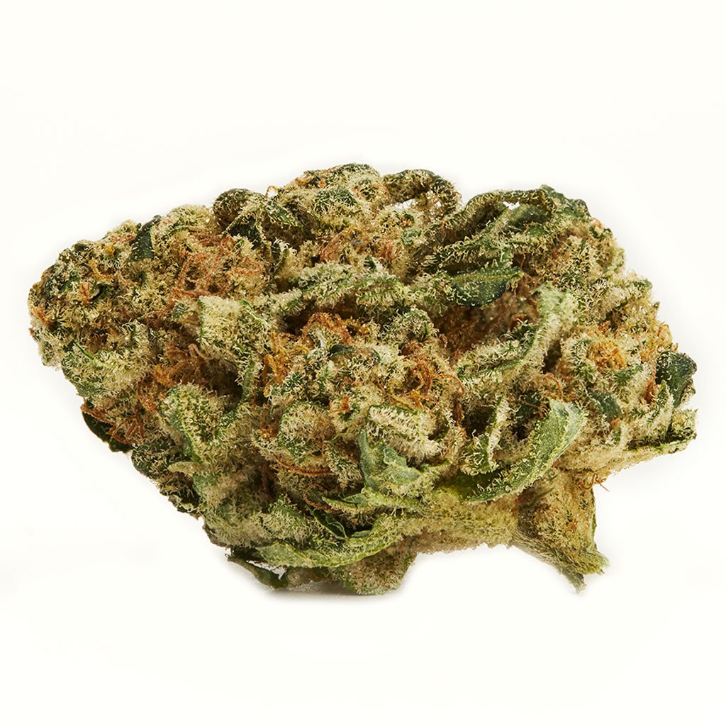 One Plant Ajax Menu Marley Natural Marley Green